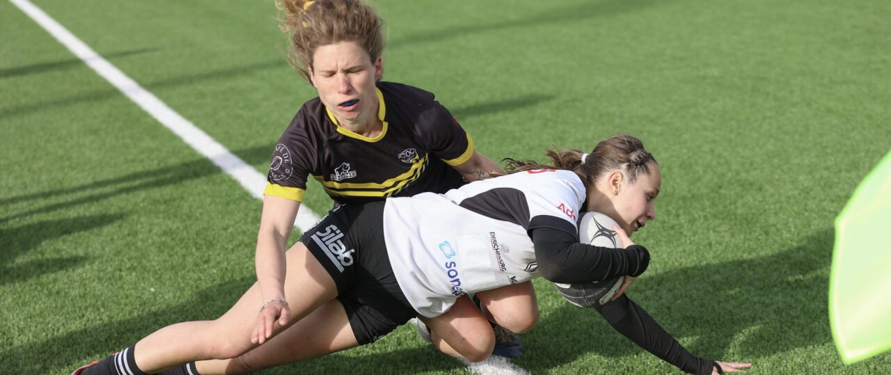 Le programme du week-end